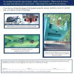 Spotted lanternfly handout page 1 thumbnail