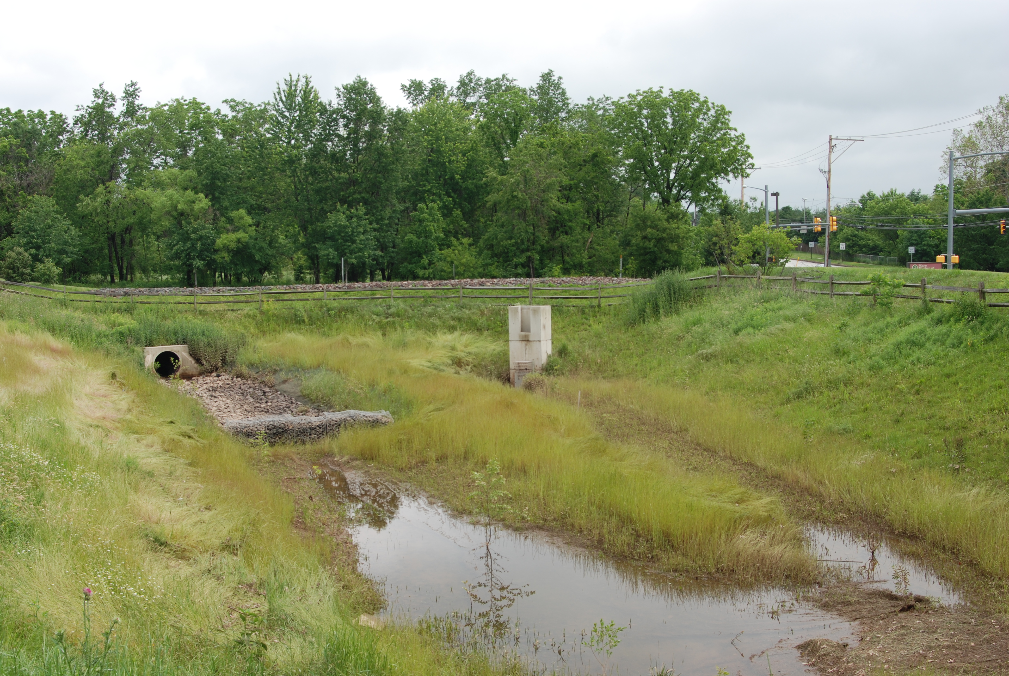 Mary, Mother of the Redeemer