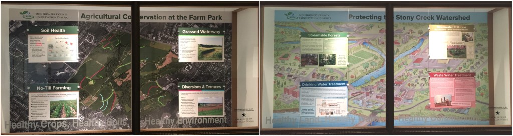 MCCD Displays Landscape